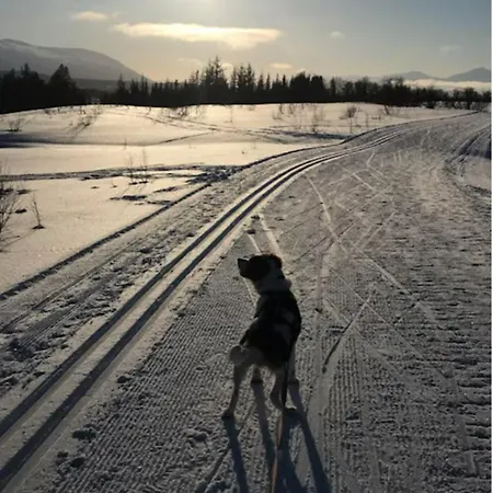 Casa Kvaloya Habitación en casa particular *